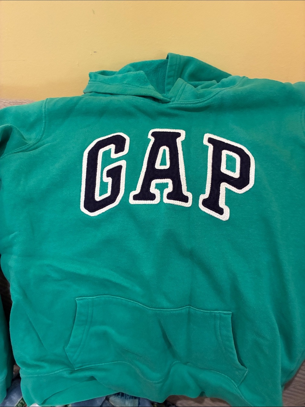 GAP Kids Teal Hooded Sweatshirt